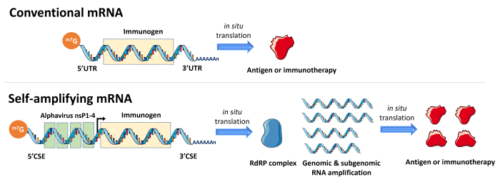 Huge patent filings in the self-amplifying RNA vaccine industry