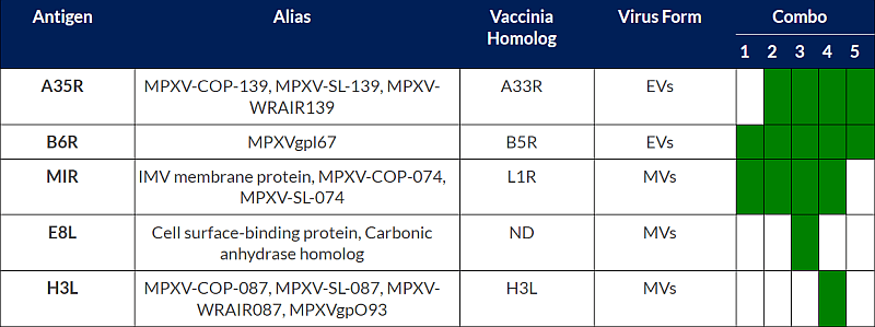 Mpox antigens encoded by multivalent vaccines tested in BioNTech patent application.