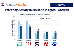 Featured image of the article Patenting Activity in 2024: An Insightful Analysis.