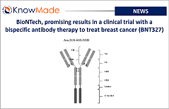 Featured image of the article BioNTech, promising results in a clinical trial with a bispecific antibody therapy to treat breast cancer (BNT327).