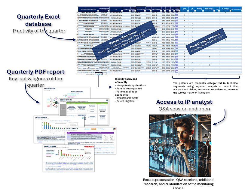 Content of the GaN electronics patent monitoring service.