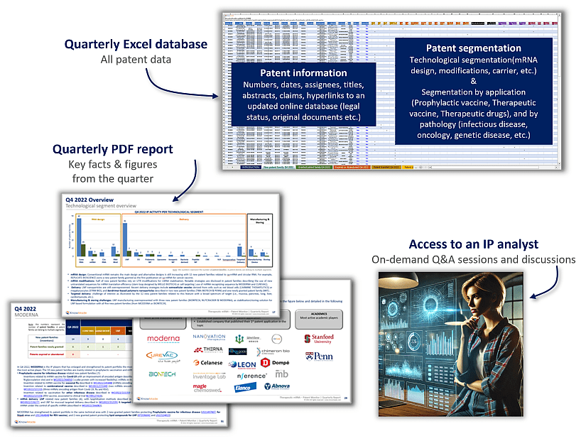 Content of the Therapeutic mRNA patent monitoring service.