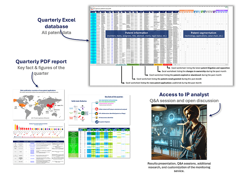 Content of the Solid state battery patent monitoring service.