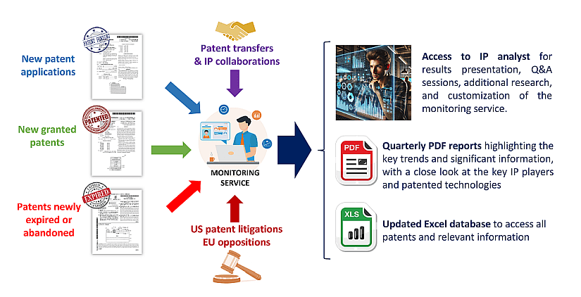 Illustration of the content of the patent monitoring services.