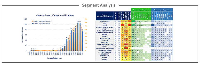 Segment analysis of the bsAbs patent analysis.